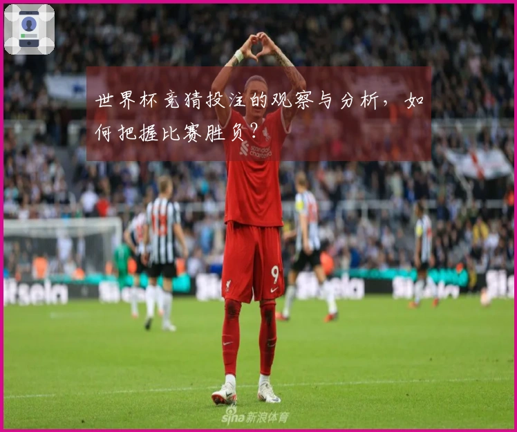 世界杯竞猜投注的观察与分析，如何把握比赛胜负？