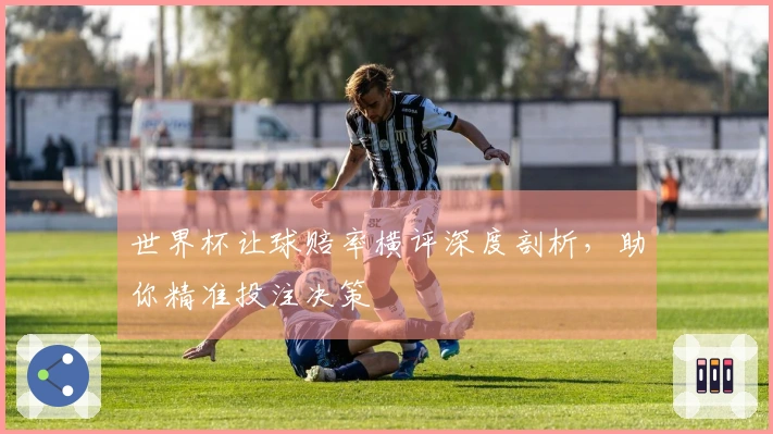 世界杯让球赔率横评深度剖析，助你精准投注决策