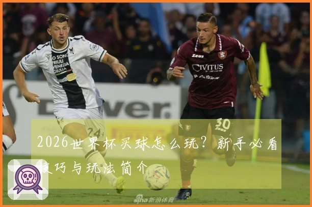 2026世界杯买球怎么玩？新手必看技巧与玩法简介
